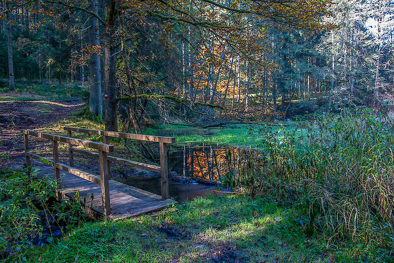 Wandern im Kötztinger Land Bayern